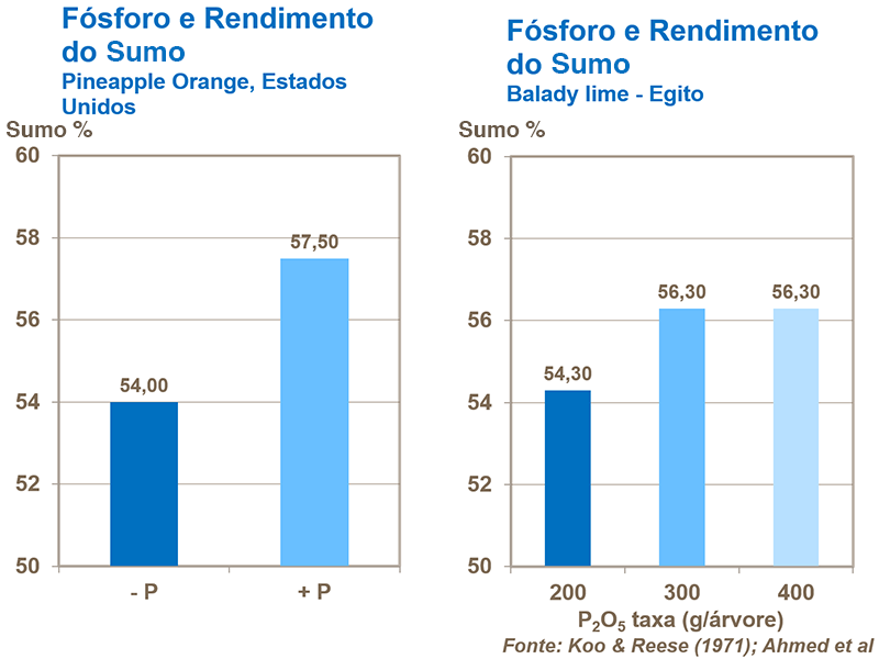 Fósforo