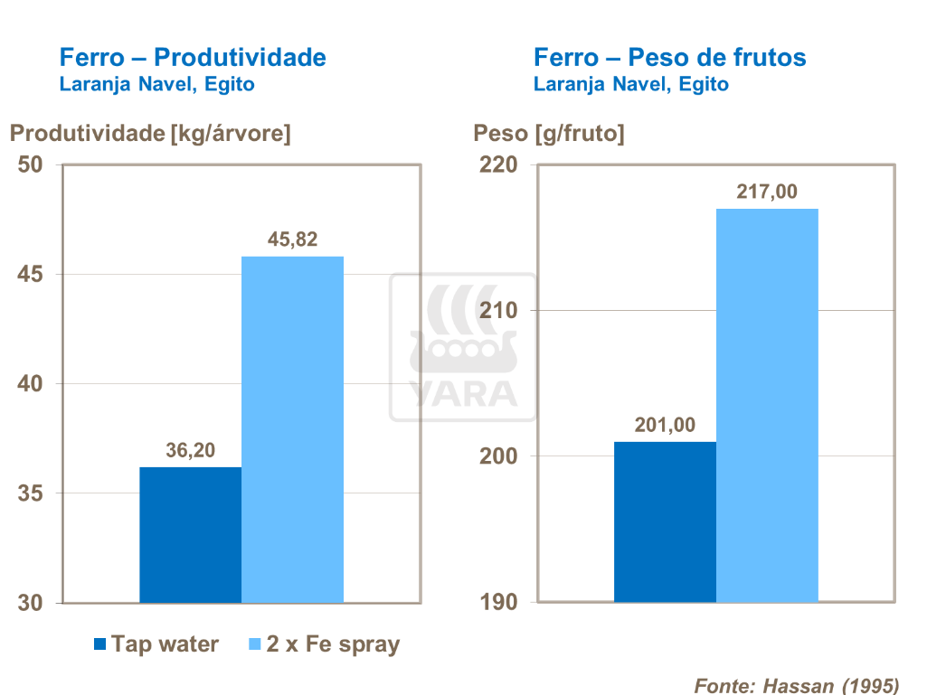 Ferro e produtividade