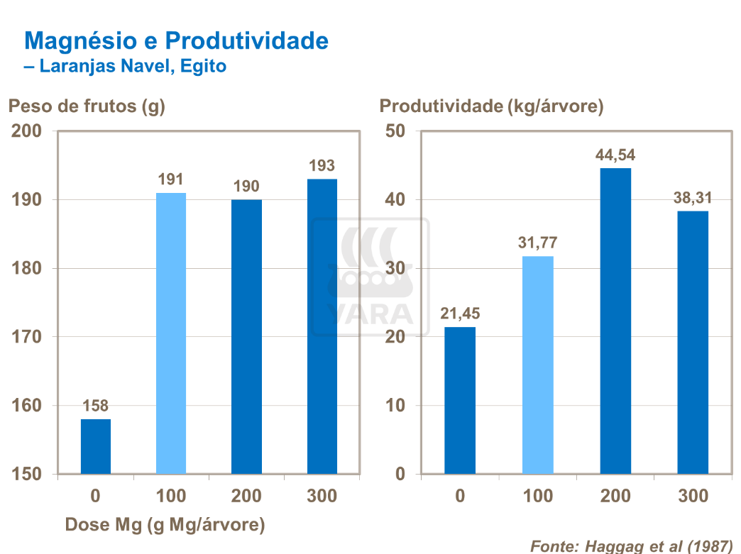 Magnésio e rendimento