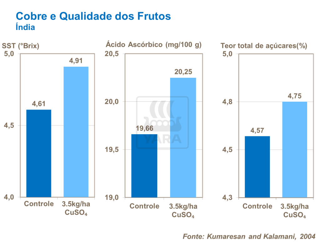yara, tomate, fertilizante, cobre