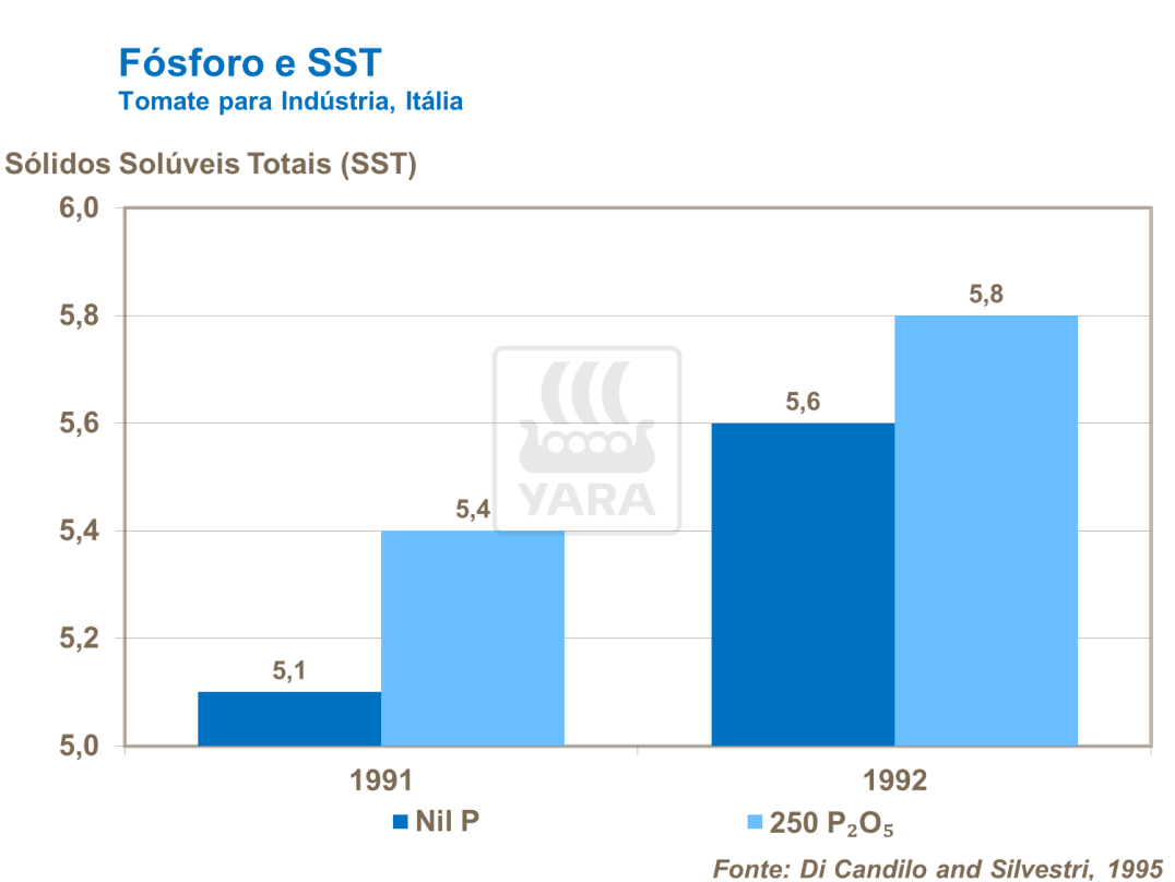 yara, tomate, fertilizante, fósforo