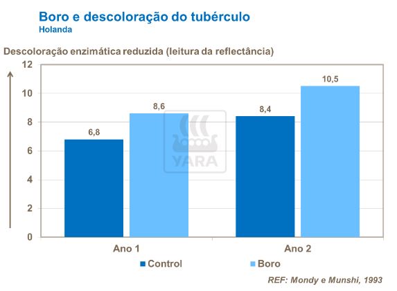 boro, yara, fertilizante, batata