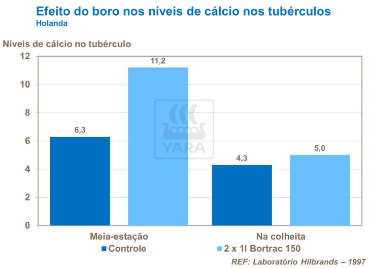 boro, fertilizante, yara