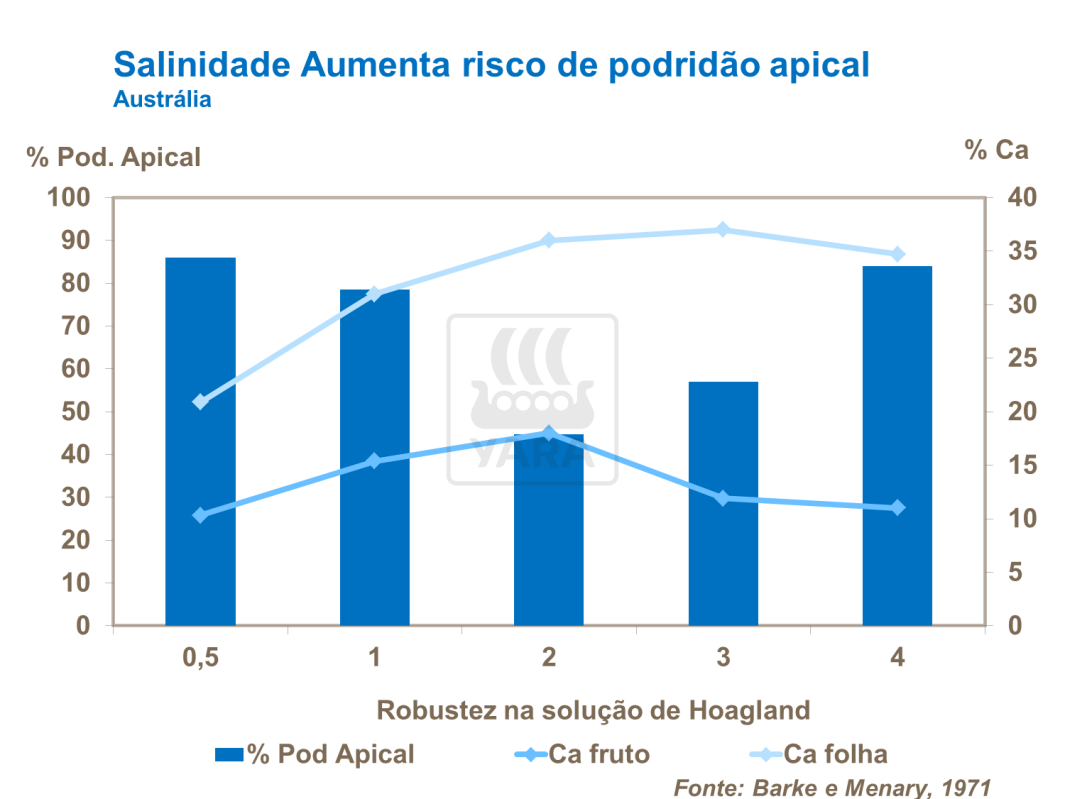 yara, tomate, fertilizante