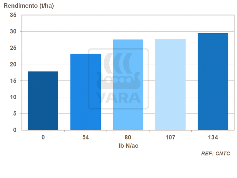 yara, fertilizante, batatas