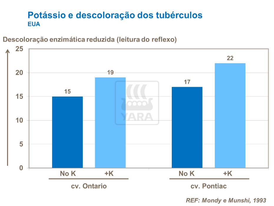 yara, potássio, fertilizante, batata