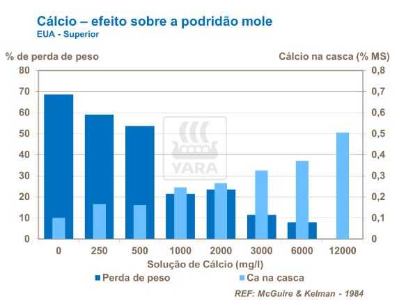 yara, cálcio, fertilizante