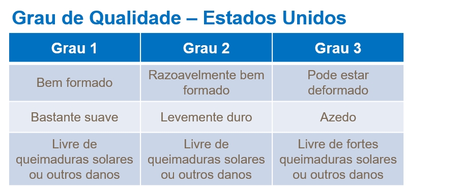 yara, tomate, fertilizante