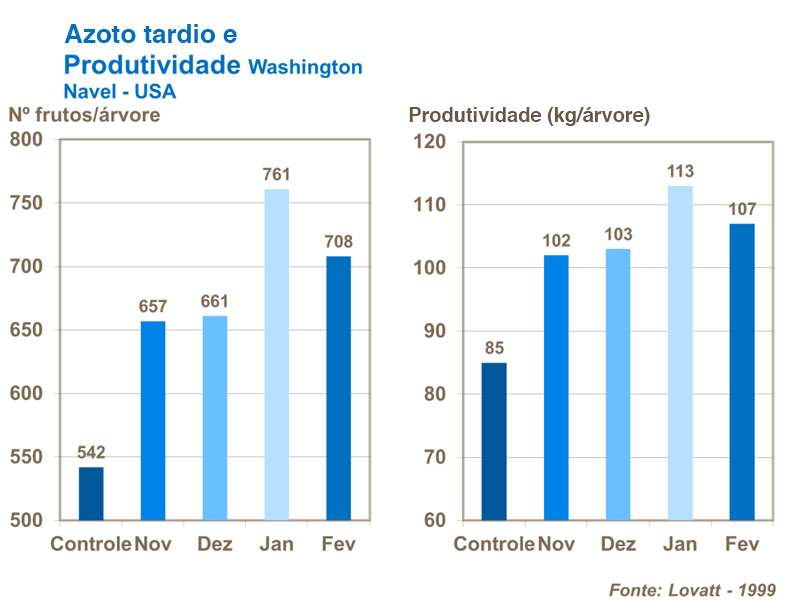 Nitrogénio tardío y rendimiento
