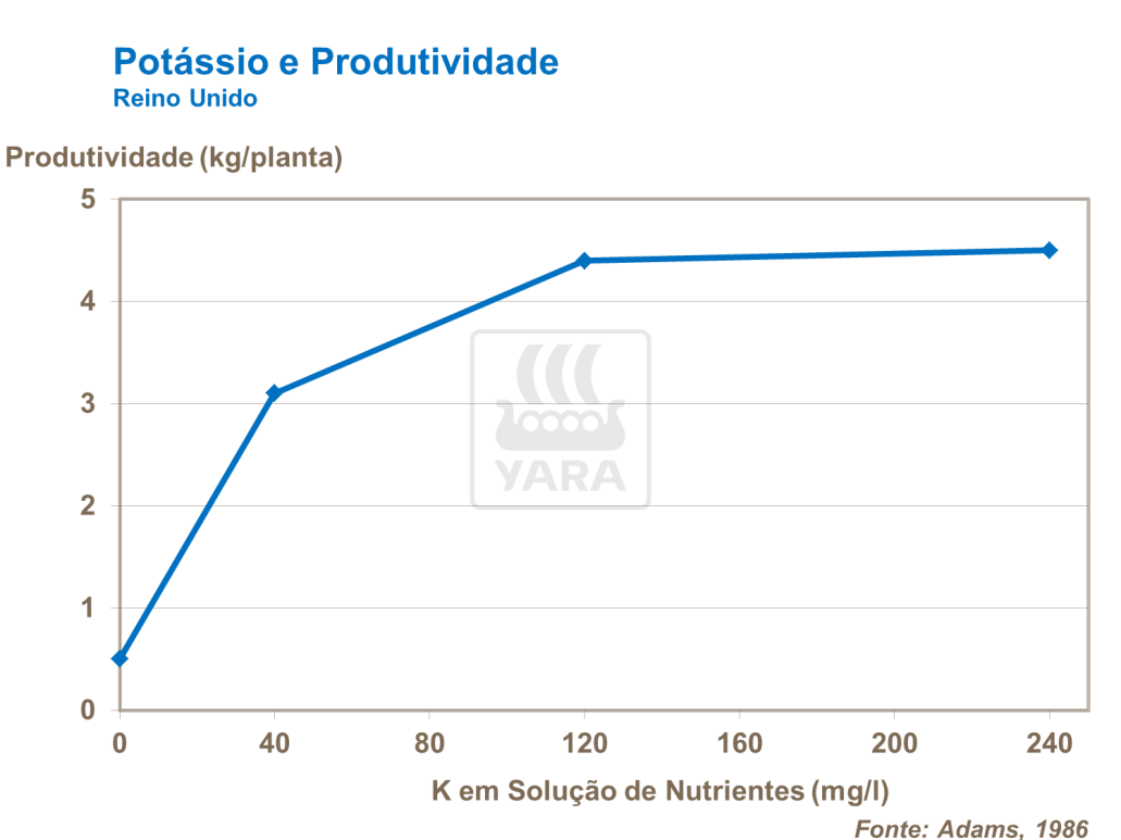 yara, tomate, fertilizante, potássio