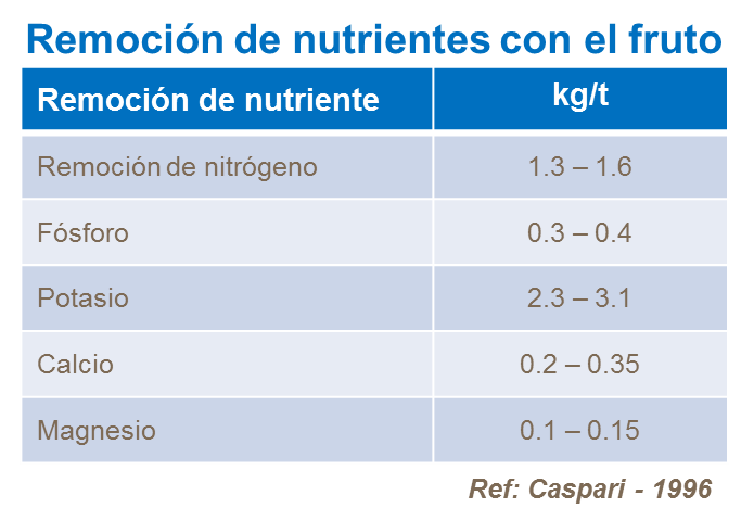 yara, uva de mesa, fertilizante