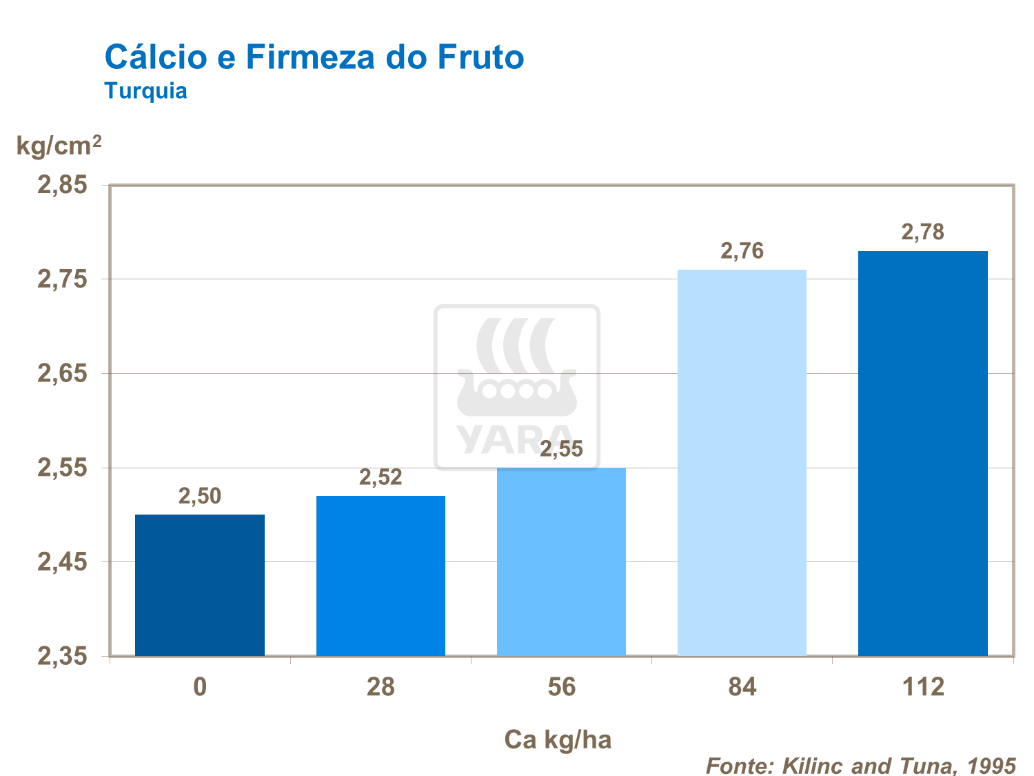 yara, tomate, fertilizante, calcio