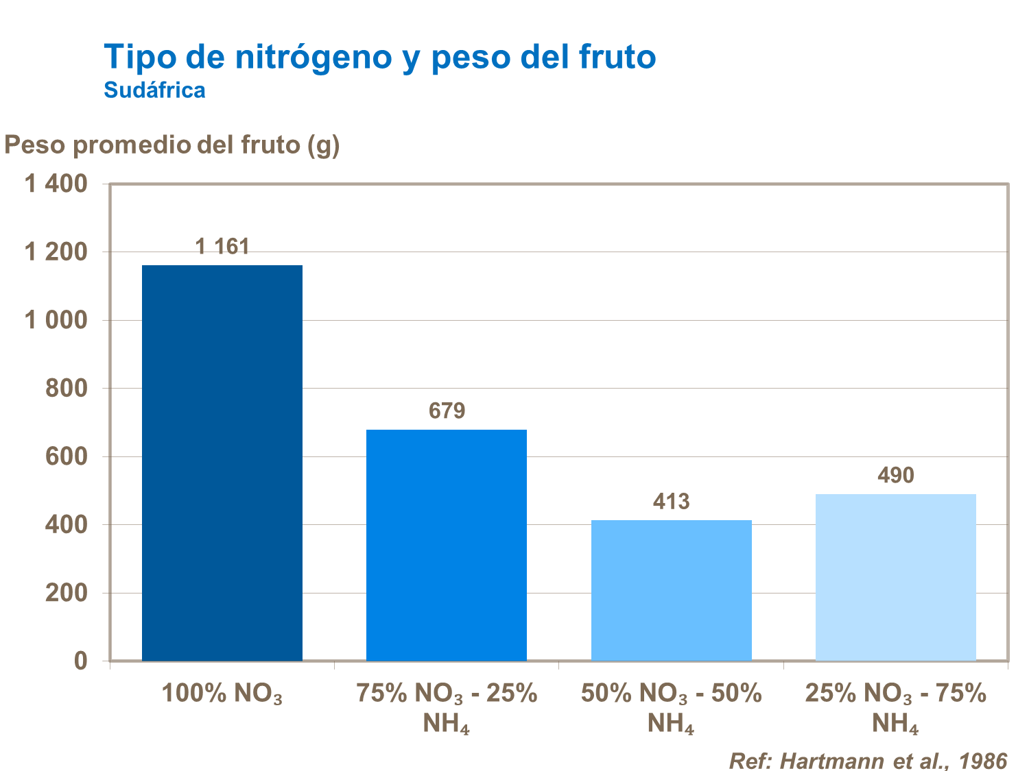 yara, tomate, fertilizante, nitrogenio