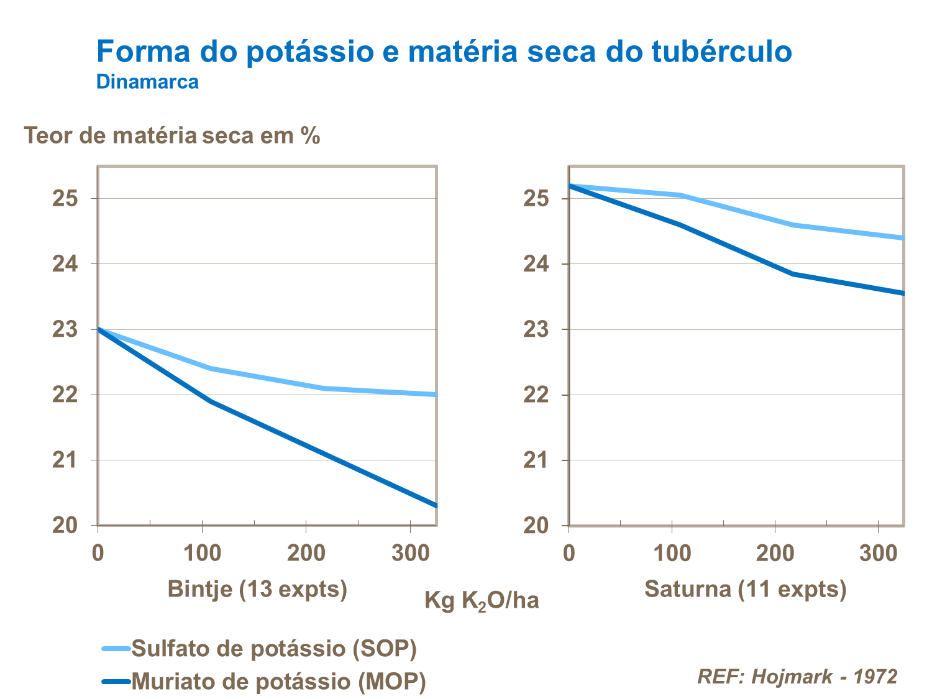 yara, fertilizante, batatas