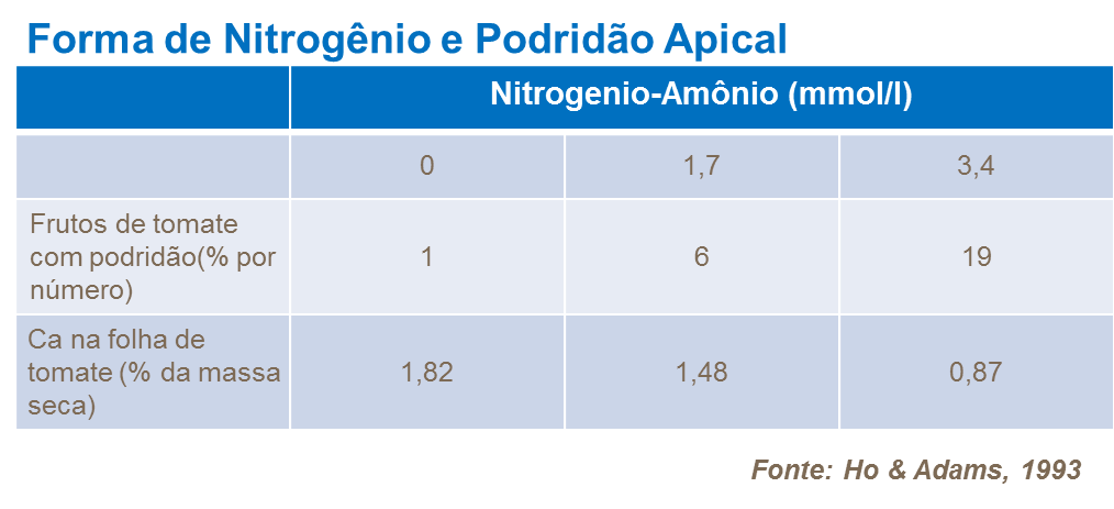 yara, tomate, fertilizante, nitrogenio
