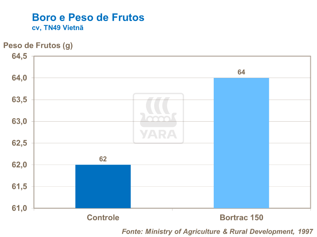 yara, tomate, fertilizante, boro