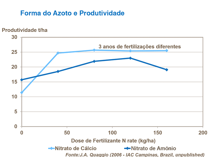 Forma de nitrogênio