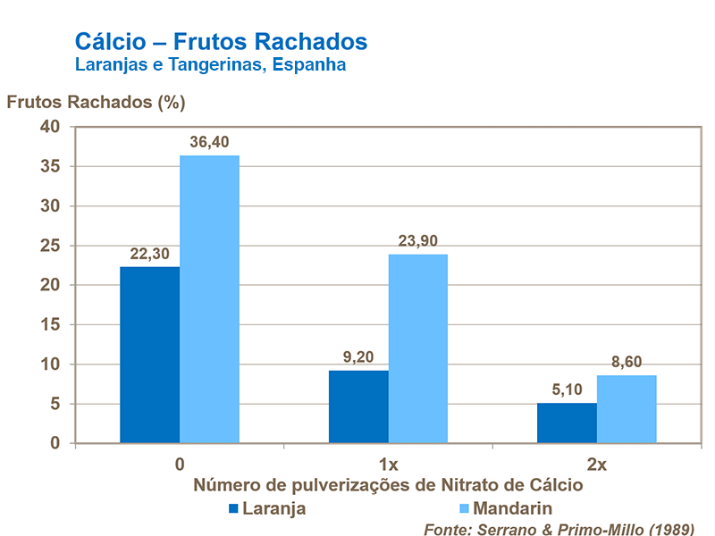 Cálcio e rachaduras no fruto