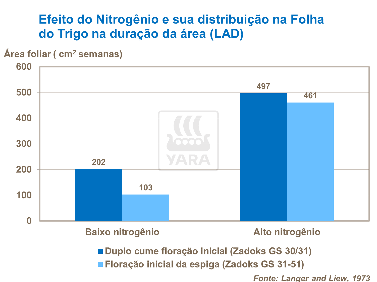 Efeito do Nitrogênio e sua distribuição na folha de trigo