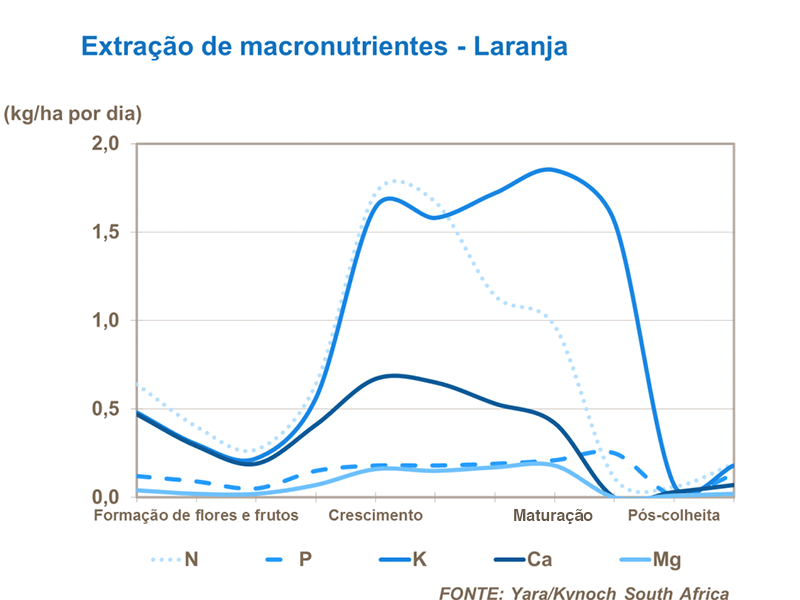 Principais nutrientes absorbidos em cítros